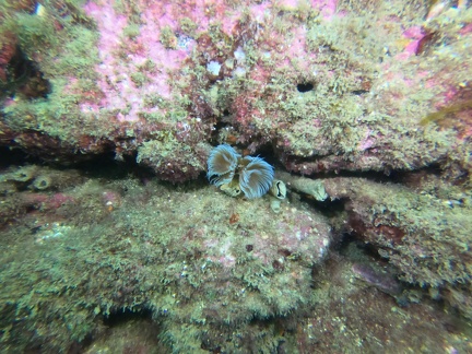 GOPR0191